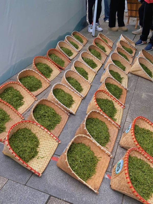 有关于赋能富阳大龙井产业全链提升 卢正浩工业4.0时代正式开启的新闻(5)