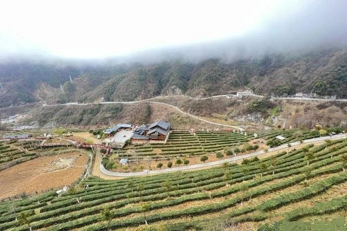 有关于湖北神农架：农民捧起“生态碗”吃上“茶旅饭”的消息