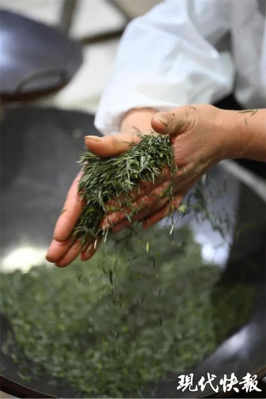 有关于江苏春茶上新，价格普涨的新闻(7)