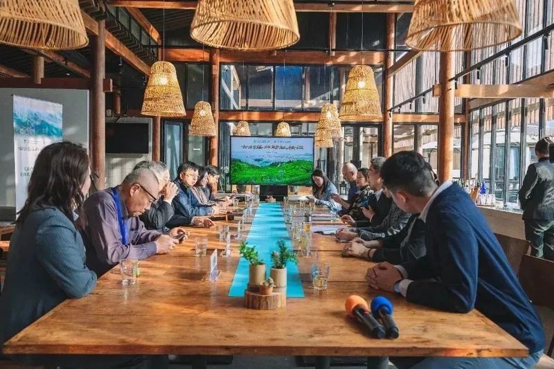 有关于专家学者齐聚松阳，研讨茶产业知识产权保护的资讯(2)