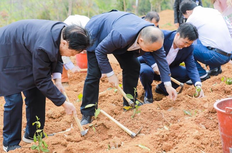 有关于2023中华茶祖节·金仙农业春茶开采主题活动在桂阳举行的新闻(3)