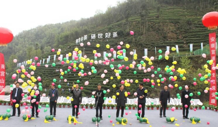 有关于2023年安康富硒茶（岚皋）春茶开园的相关内容(1)