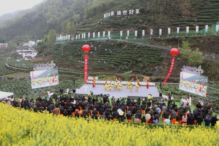 有关于2023年安康富硒茶（岚皋）春茶开园的相关内容