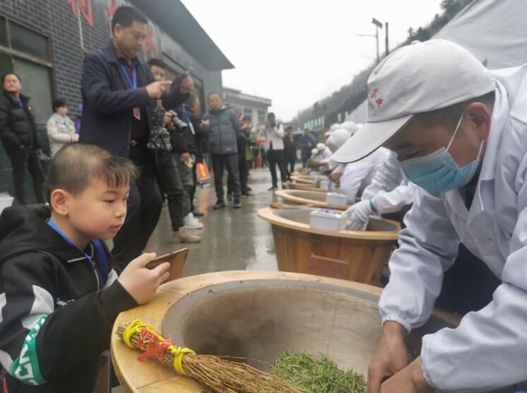 有关于2023年安康富硒茶（岚皋）春茶开园的相关内容(3)