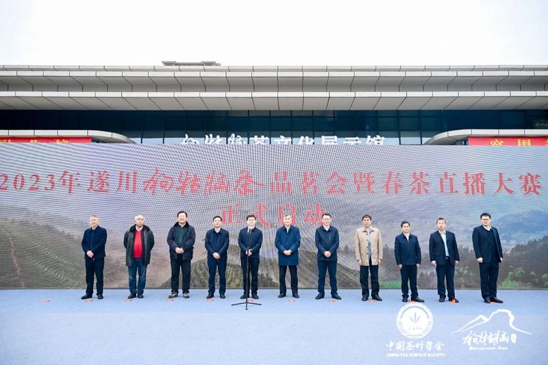 有关于 “以茶为媒 相约遂川”2023年遂川狗牯脑茶品茗会成功举办的相关信息(8)