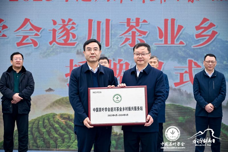 有关于 “以茶为媒 相约遂川”2023年遂川狗牯脑茶品茗会成功举办的相关信息(6)