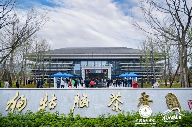 有关于 “以茶为媒 相约遂川”2023年遂川狗牯脑茶品茗会成功举办的相关信息(15)