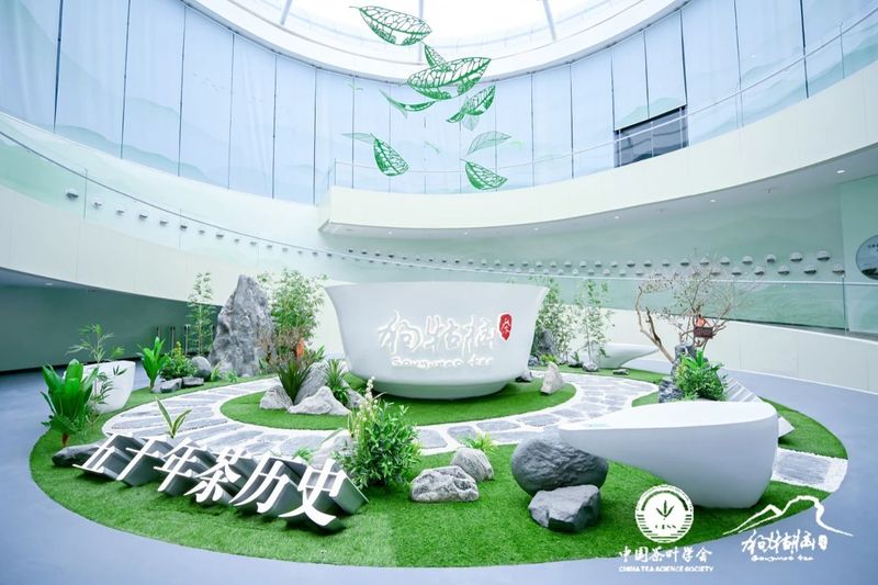 有关于 “以茶为媒 相约遂川”2023年遂川狗牯脑茶品茗会成功举办的相关信息(16)