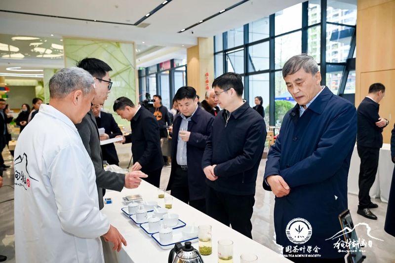 有关于 “以茶为媒 相约遂川”2023年遂川狗牯脑茶品茗会成功举办的相关信息(12)