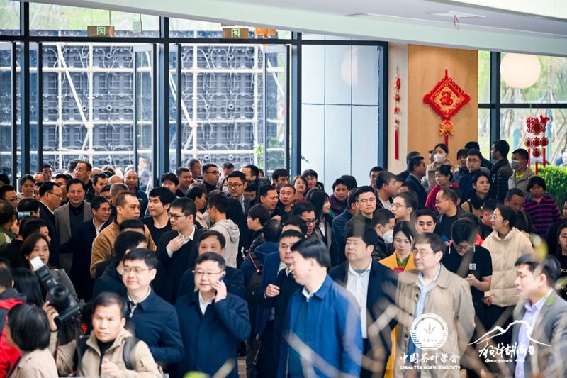 有关于 “以茶为媒 相约遂川”2023年遂川狗牯脑茶品茗会成功举办的相关信息(11)