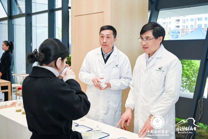 有关于 “以茶为媒 相约遂川”2023年遂川狗牯脑茶品茗会成功举办的相关信息(13)