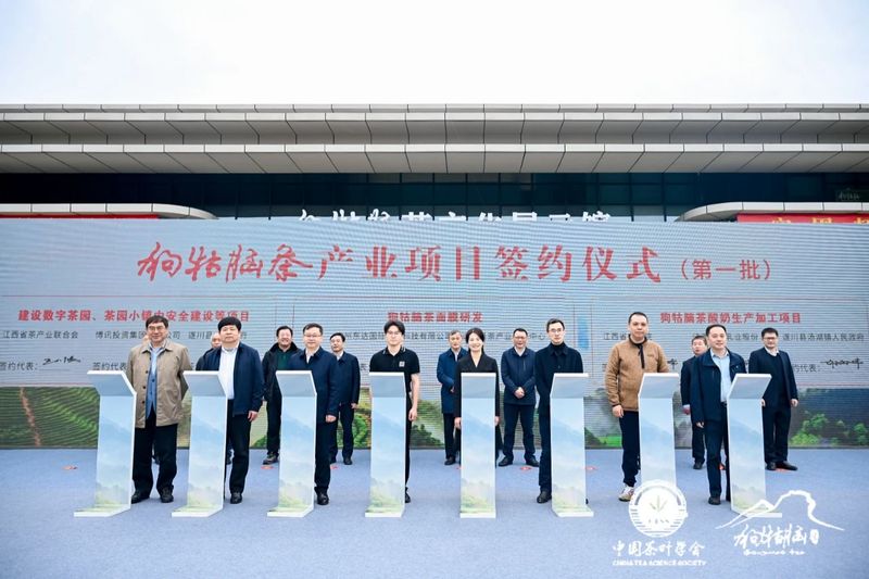 有关于 “以茶为媒 相约遂川”2023年遂川狗牯脑茶品茗会成功举办的相关信息(7)