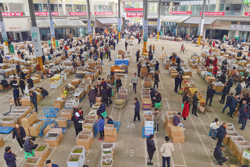 有关于交易量达1400吨 交易规模超8亿元 世界茶都茶叶交易市场交易火爆的消息