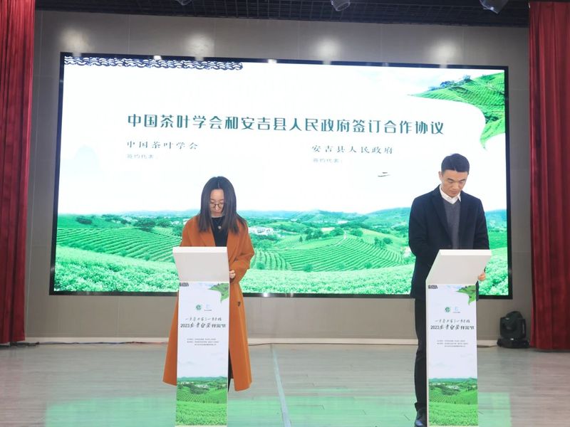 有关于2023安吉白茶开采的相关信息(4)