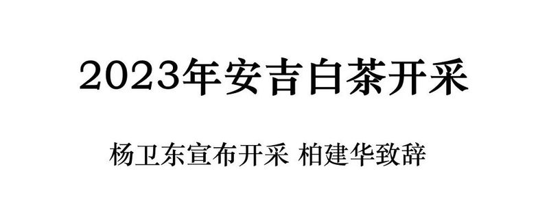 有关于2023安吉白茶开采的相关信息