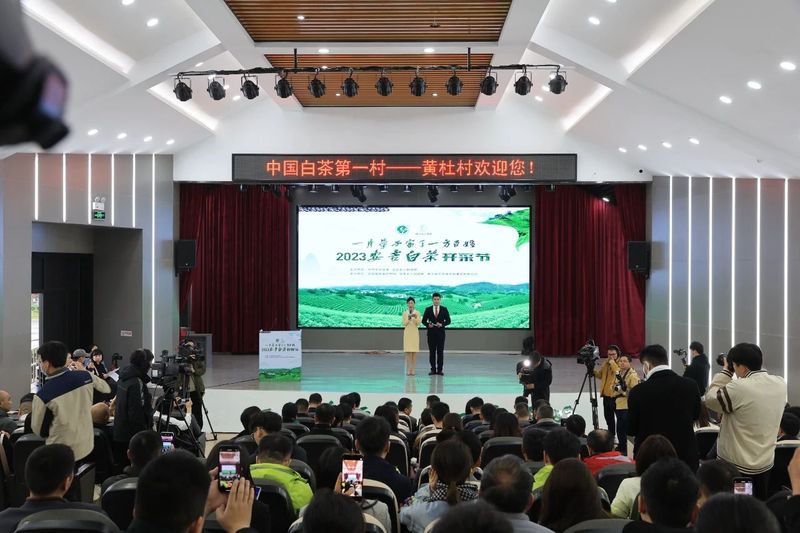 有关于2023安吉白茶开采的相关信息(1)