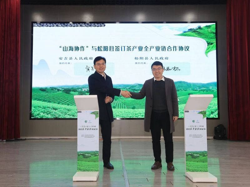 有关于2023安吉白茶开采的相关信息(5)