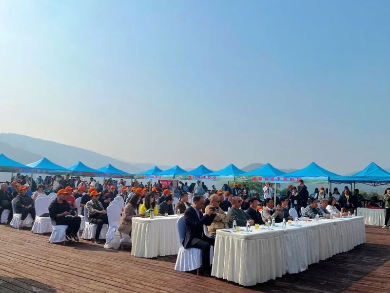 关于2023年临翔区春茶开采活动在邦东举行的内容(1)