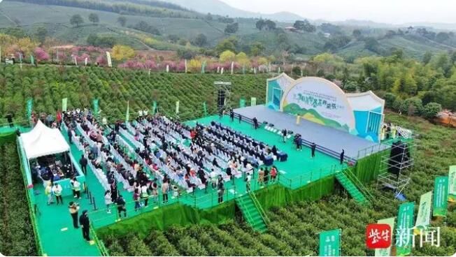 有关于从茶文化到茶产业，宜兴持续擦亮“阳羡茶”金字招牌的最新消息(2)