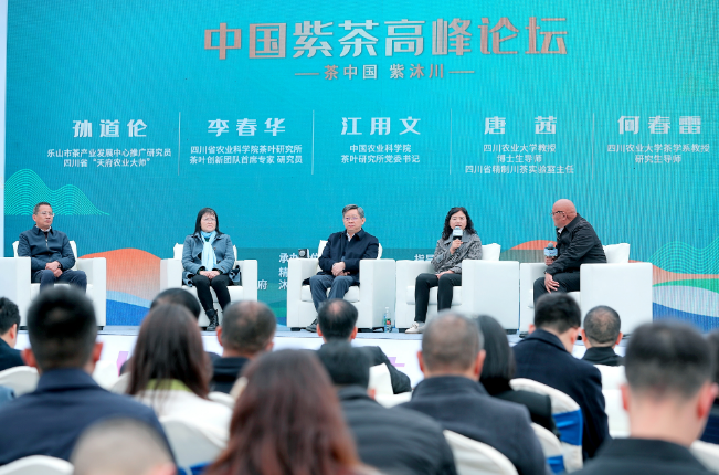 关于擦亮“中国紫茶之乡”金字招牌！2023年中国·沐川紫茶节举行的内容(5)