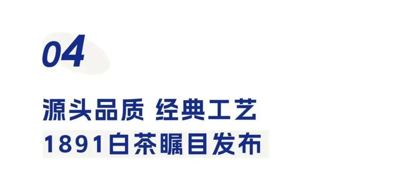 关于致敬百年白茶之路 携手院士助力乡村振兴的信息(12)