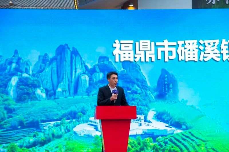 关于致敬百年白茶之路 携手院士助力乡村振兴的信息(9)