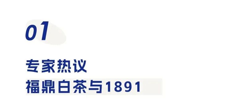 关于致敬百年白茶之路 携手院士助力乡村振兴的信息(1)