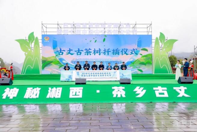 关于湖南古丈茶旅文化节启幕 共庆春茶开园的内容(2)
