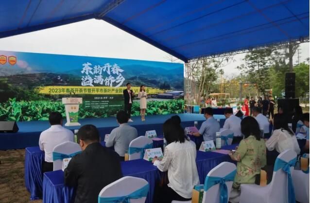 有关于江门开平春茶，开采！的消息