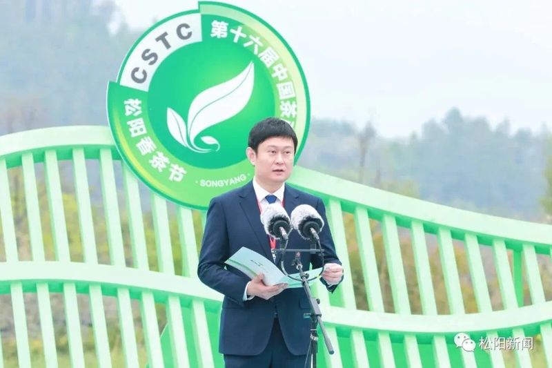 关于第十六届中国茶商大会暨浙江省“三茶”统筹发展推进会隆重开幕的信息(2)
