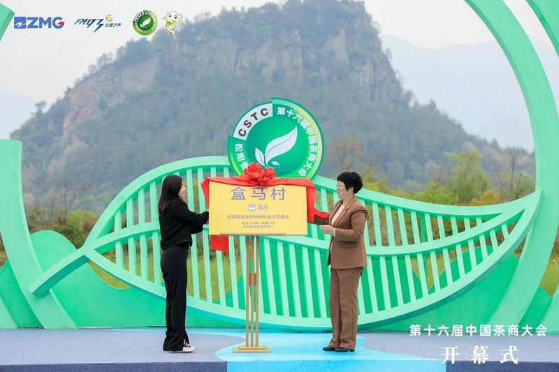 关于第十六届中国茶商大会暨浙江省“三茶”统筹发展推进会隆重开幕的信息(9)