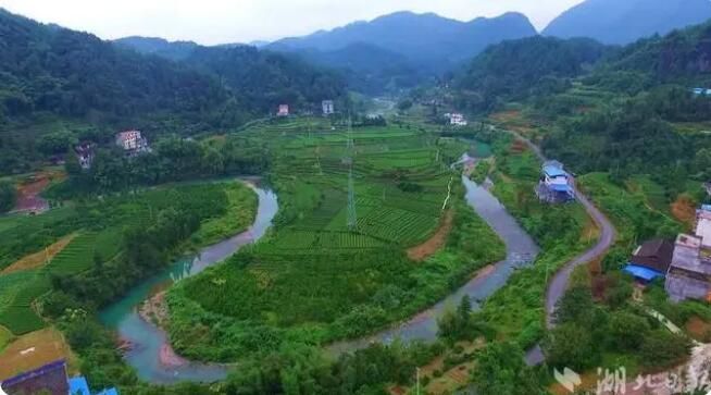 有关于湖北宣恩：春茶吐新芽 茶农采收忙的最新消息