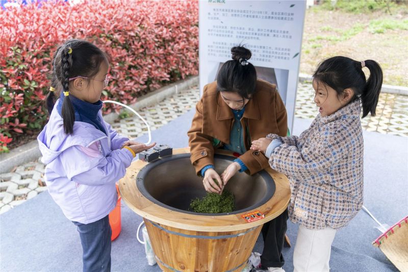 有关于2023“苏韵乡情”南京高淳采茶节开幕的消息(2)