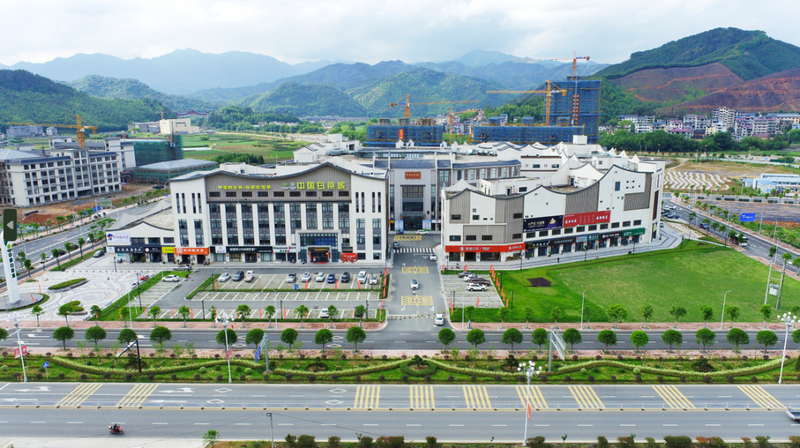 关于政和县探索“茶业+”模式 推动茶产业高质量发展的最新消息(5)