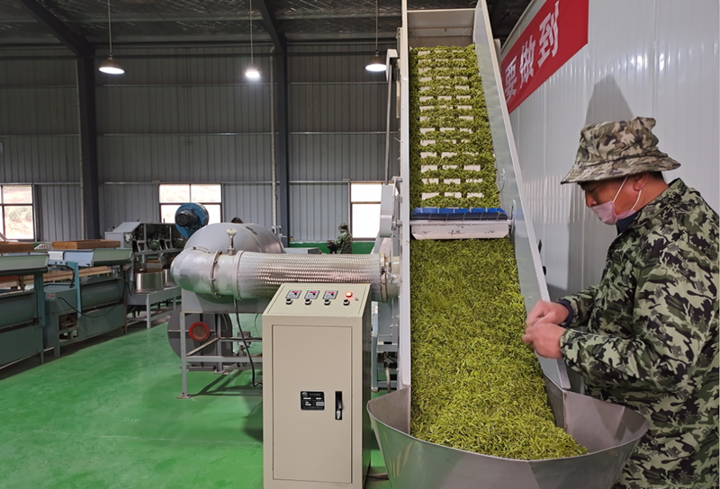 有关于白雀园镇赛一村：小茶叶带动大产业 点亮“产业兴旺星”的相关信息(2)