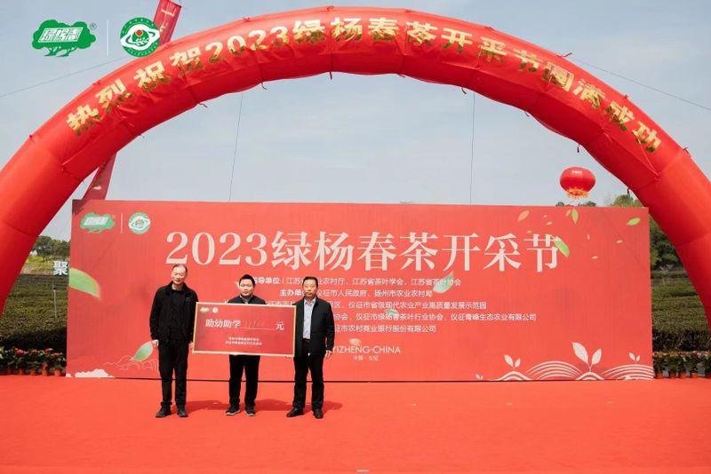 关于2023“绿杨春”茶开采节举行，一杯“绿杨春”缘何这么香？的相关内容(1)