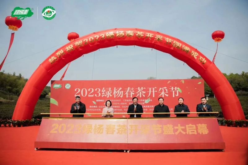 关于2023“绿杨春”茶开采节举行，一杯“绿杨春”缘何这么香？的相关内容