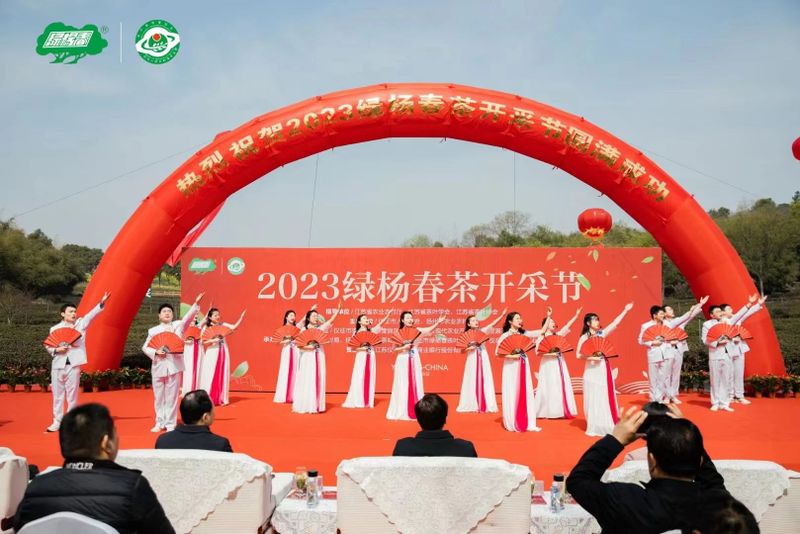 关于2023“绿杨春”茶开采节举行，一杯“绿杨春”缘何这么香？的相关内容(2)