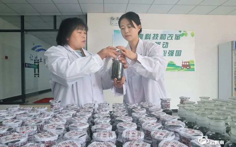 关于都匀毛尖茶地方标准实物标准样正式发布的资讯(1)