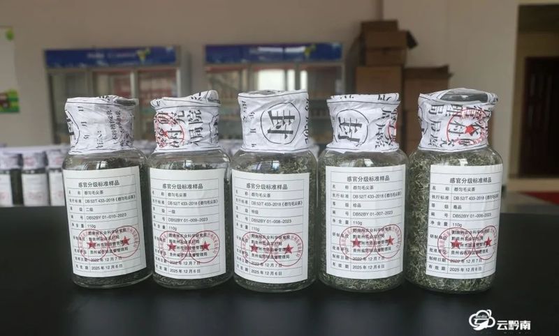 关于都匀毛尖茶地方标准实物标准样正式发布的资讯(2)