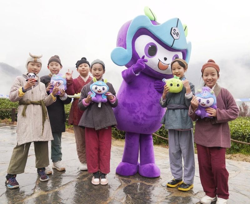 关于“春之茶”开采！紫阳茶园热火朝天！的最新消息(29)