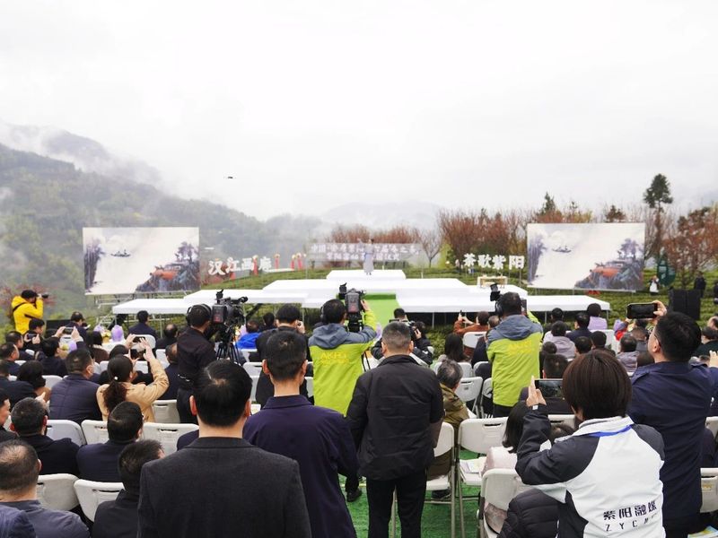 关于“春之茶”开采！紫阳茶园热火朝天！的最新消息(28)