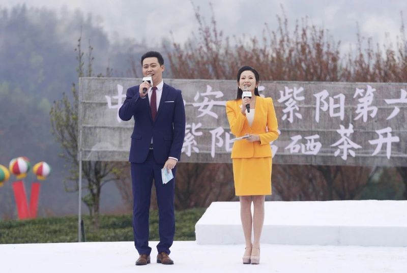 关于“春之茶”开采！紫阳茶园热火朝天！的最新消息(3)