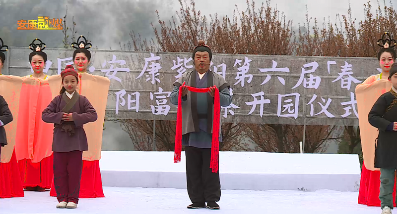 关于“春之茶”开采！紫阳茶园热火朝天！的最新消息(6)