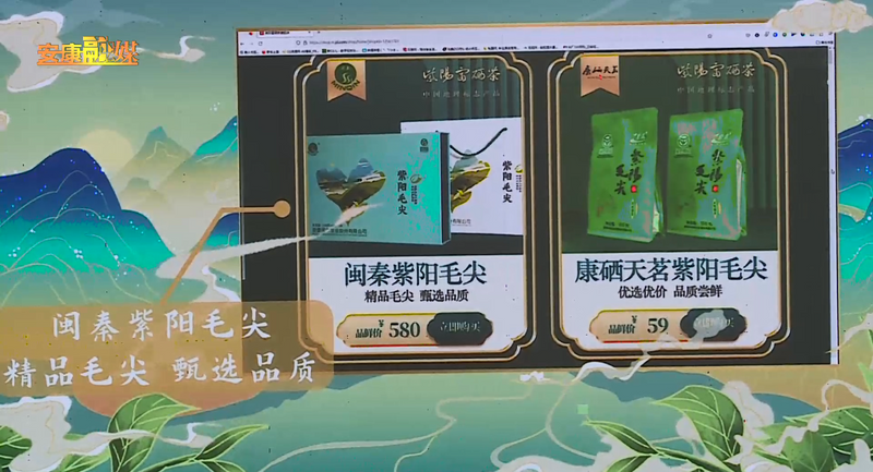 关于“春之茶”开采！紫阳茶园热火朝天！的最新消息(18)