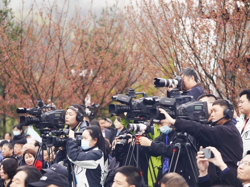 关于“春之茶”开采！紫阳茶园热火朝天！的最新消息(22)