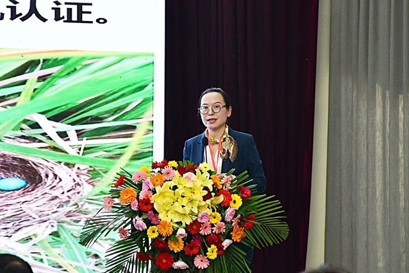 关于以石生茶为切入点 探索云茶特色产业经济圈建设之路的最新消息(8)