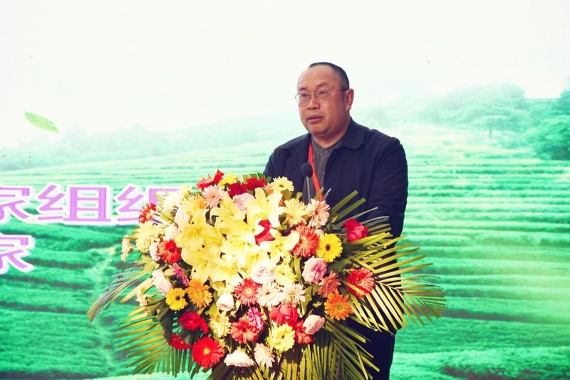 关于以石生茶为切入点 探索云茶特色产业经济圈建设之路的最新消息(4)