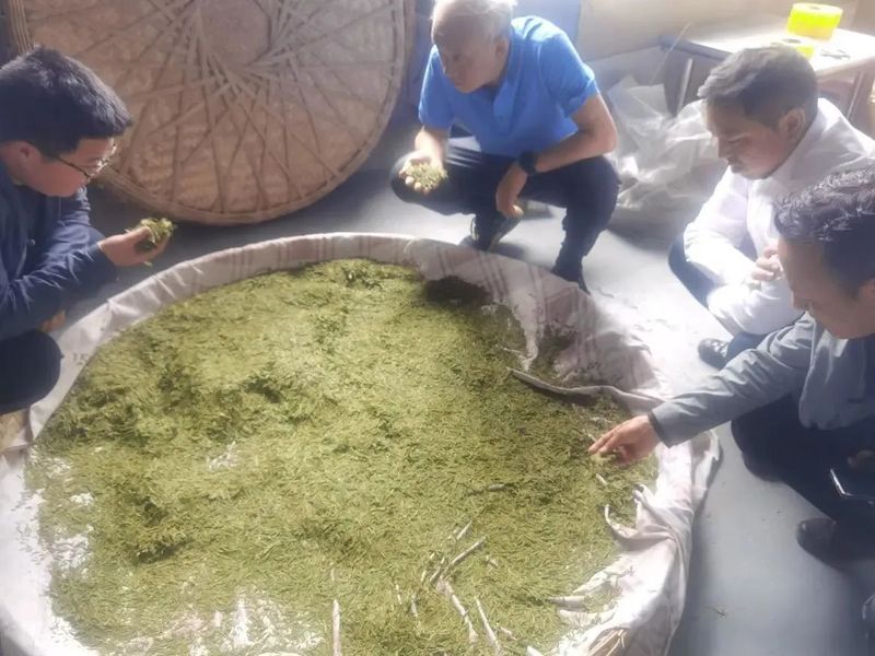 关于胡继承一行赴盘州市调研保基茶产业的最新消息(3)