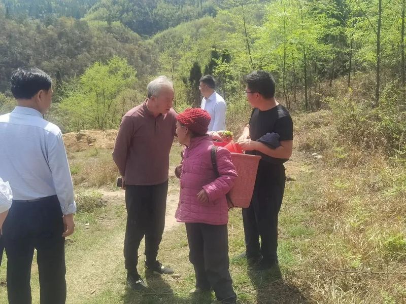 关于胡继承一行赴盘州市调研保基茶产业的最新消息(2)